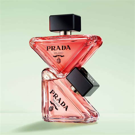 paradoxe von prada|paradoxe intense Prada.